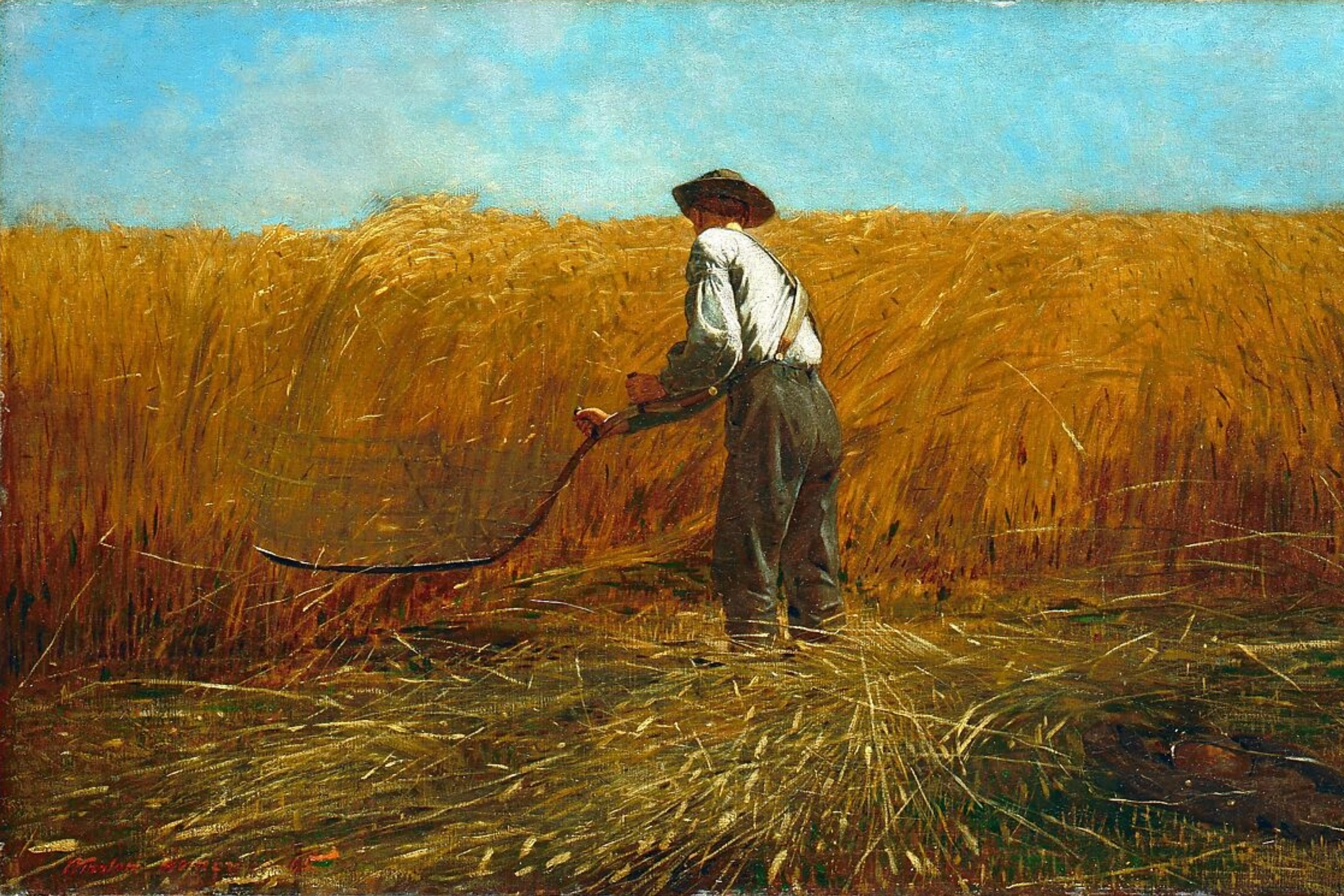 Homer The Veteran in New Field