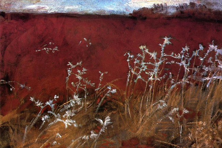 Thistles John Singer Sargent