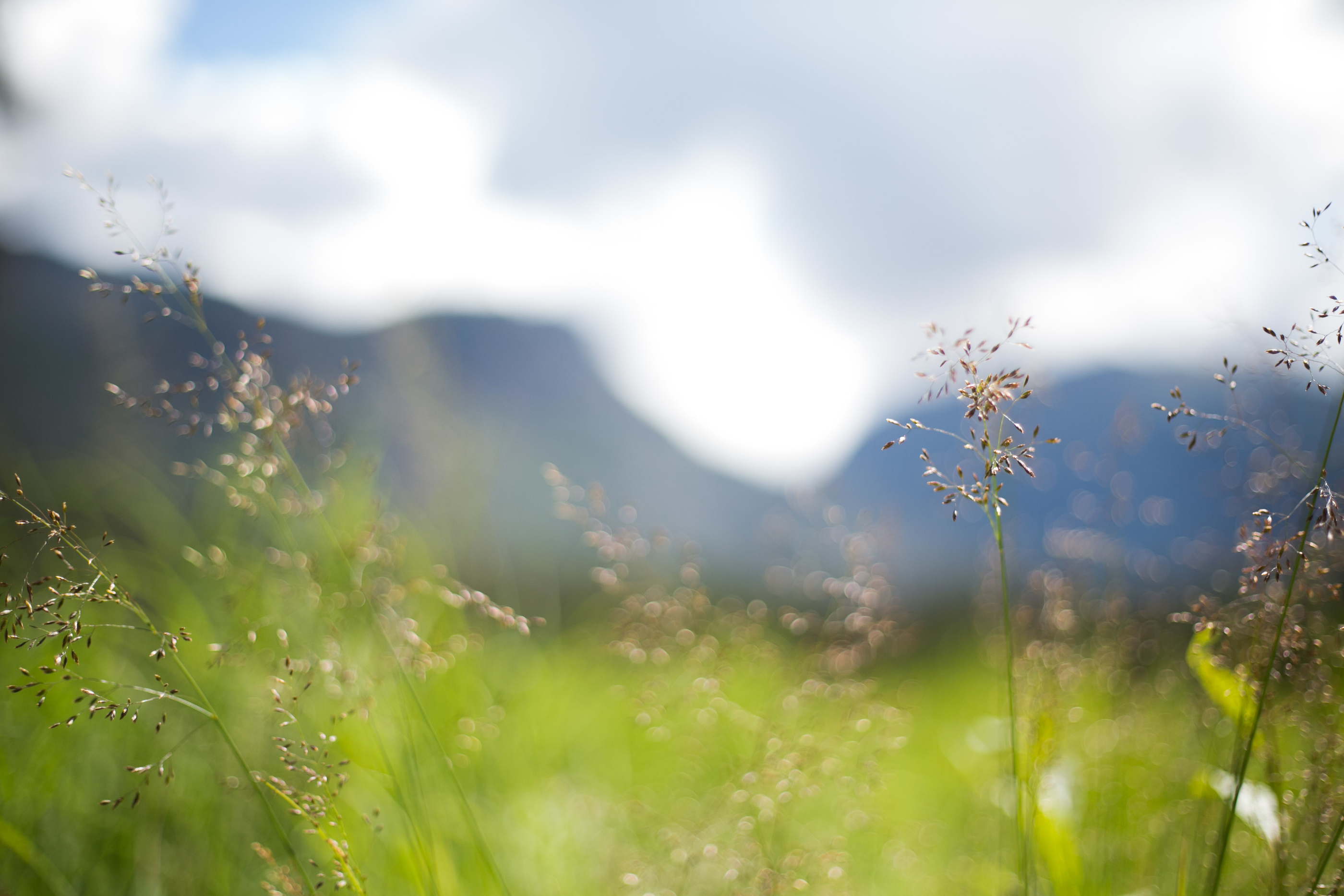 04 18 Daybreak Field