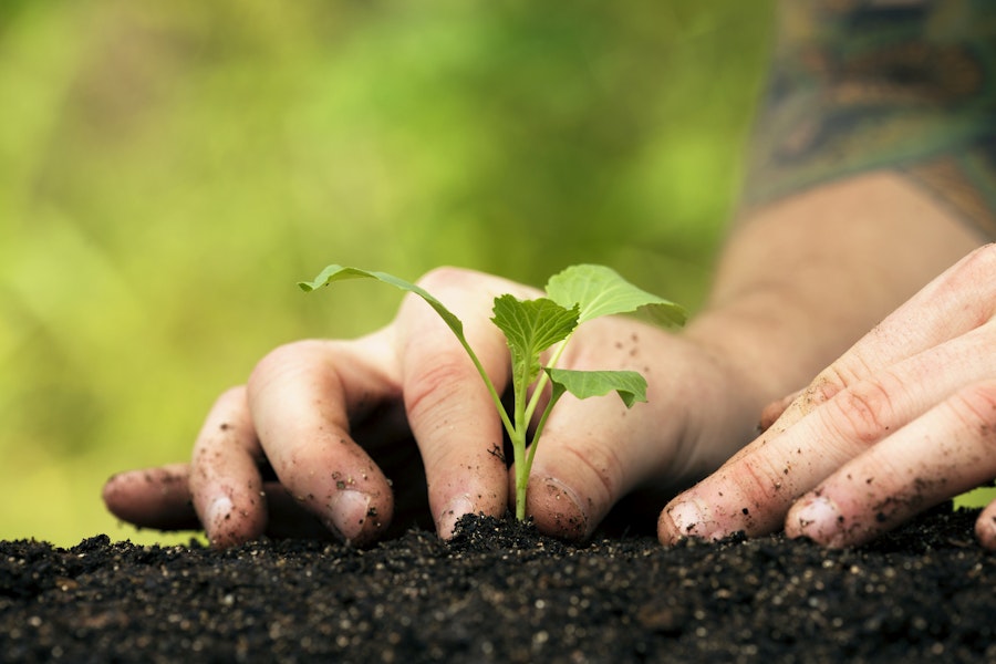 Selfish Care, SelfCare, and Soul Care—What's the