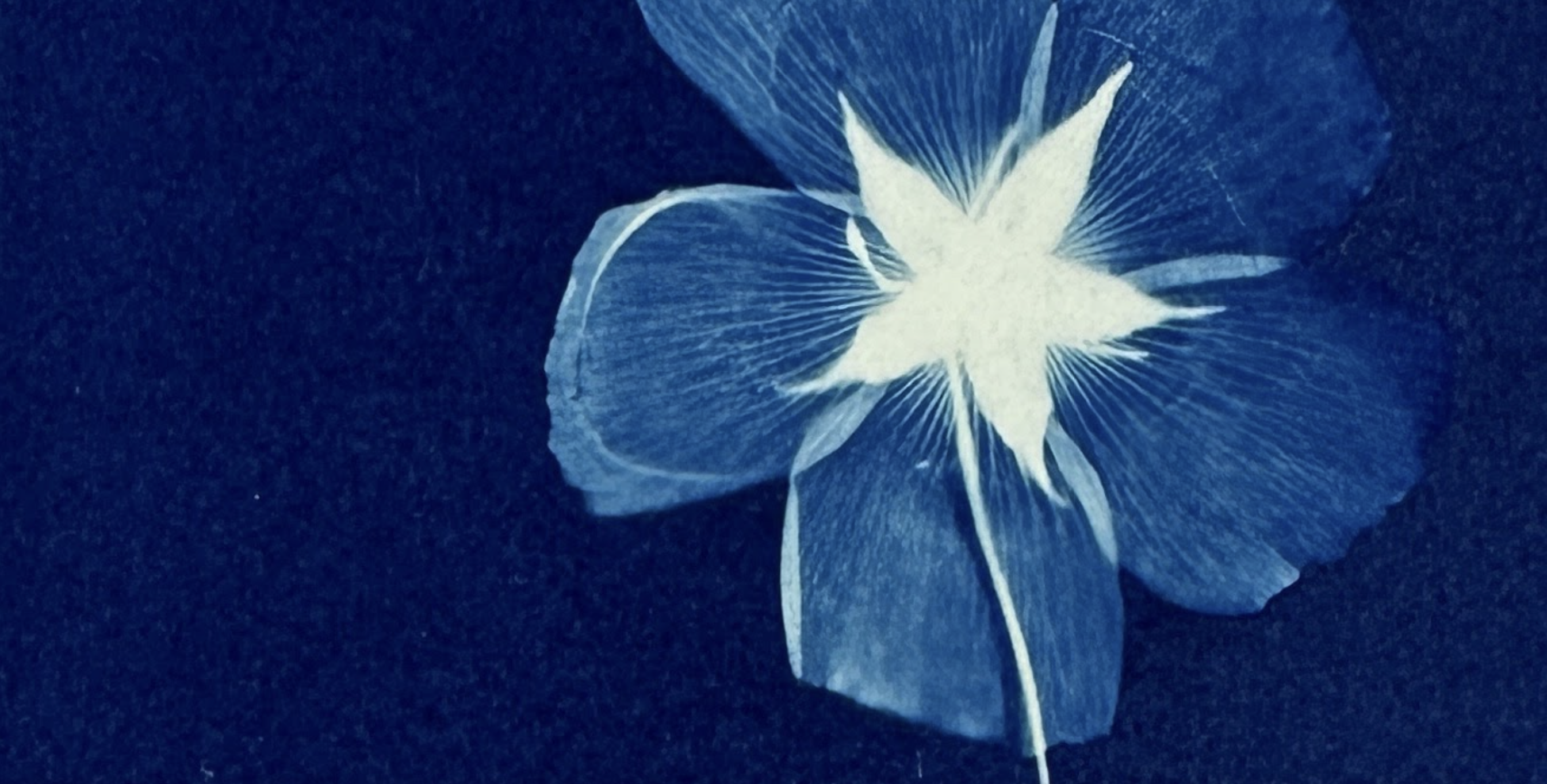 Renovaré Attention Grows into Love Sally Kendrick