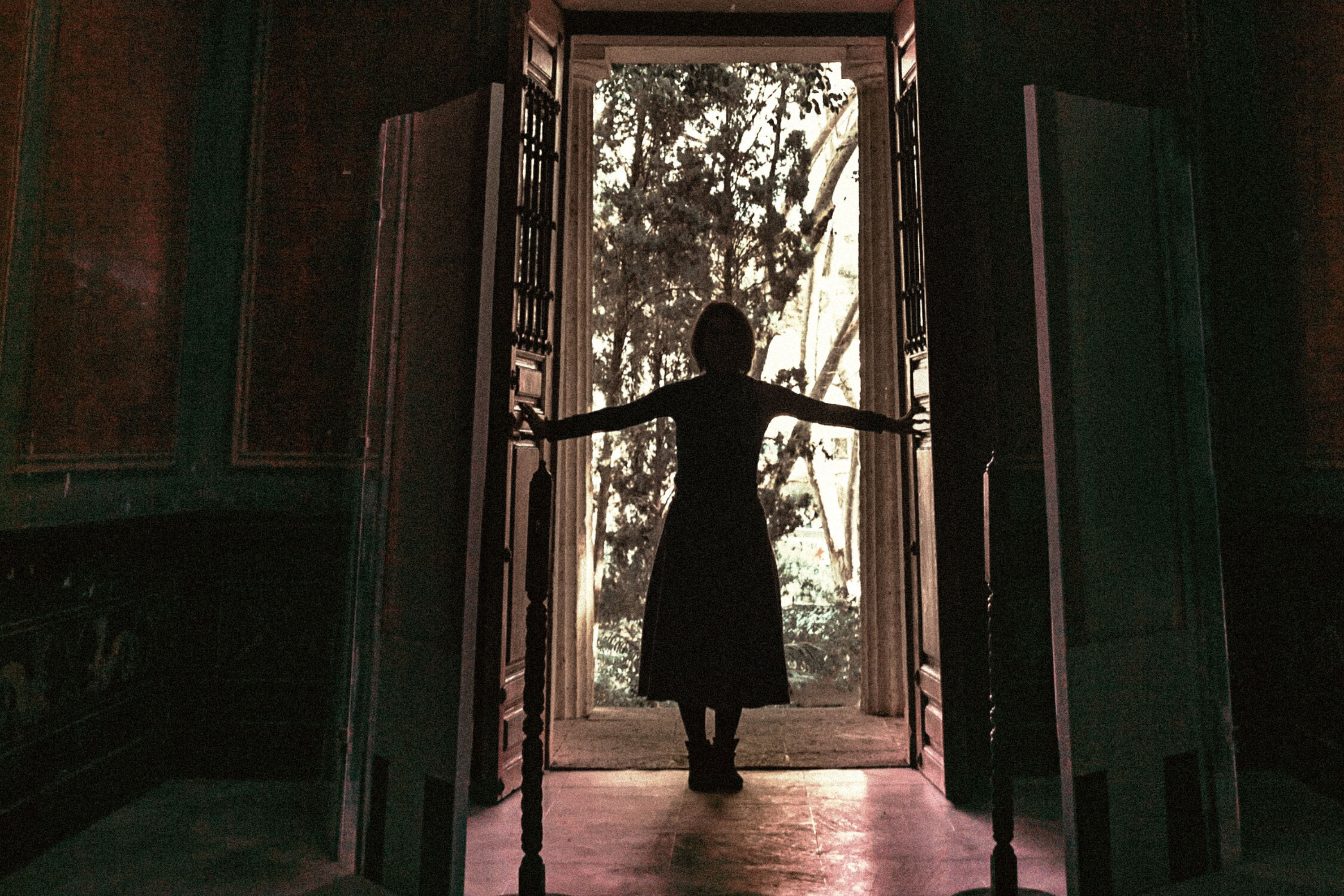 The Doors of Imagination 1