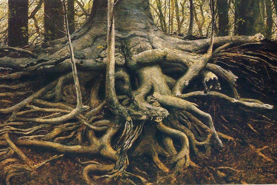Wyeth Roots