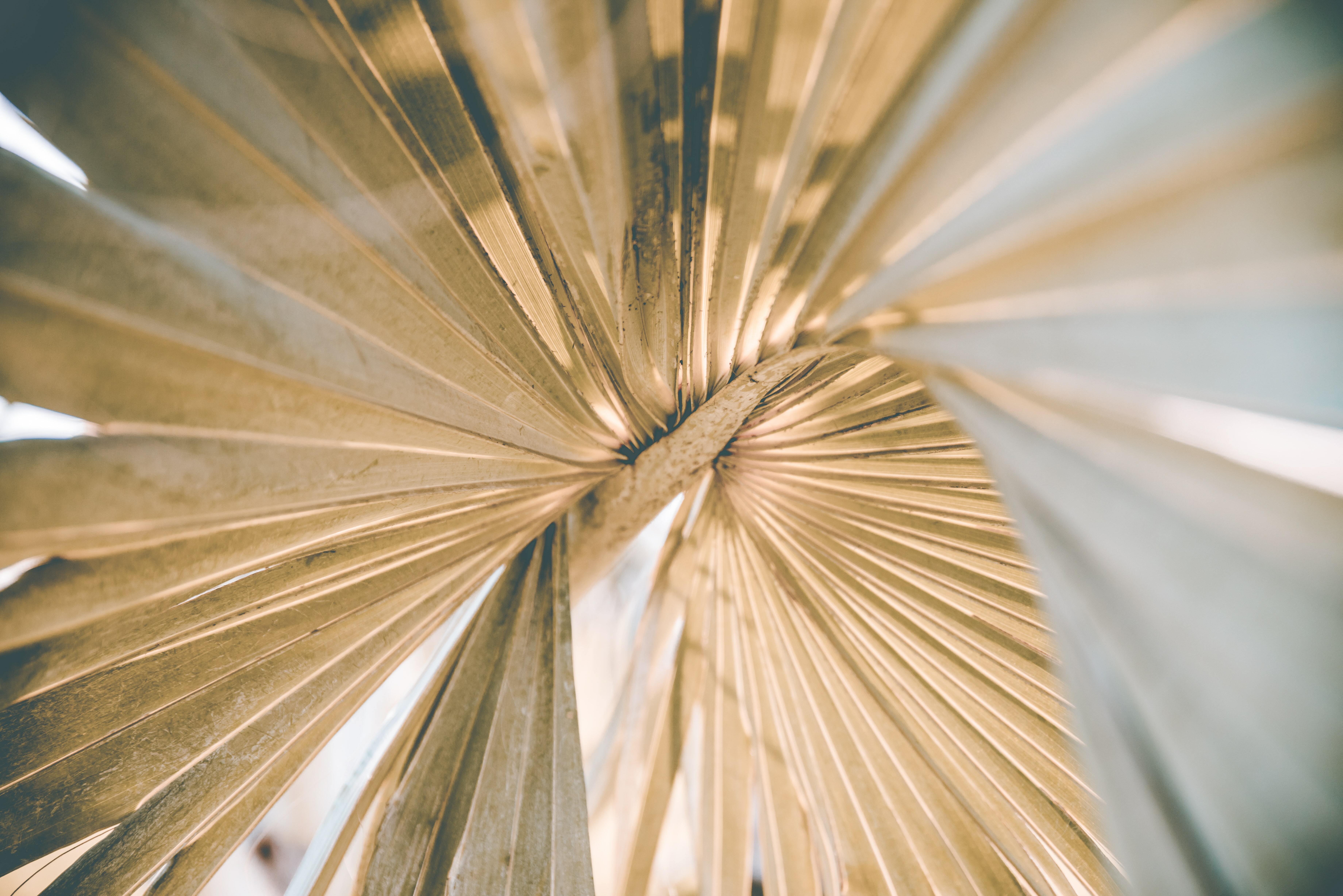 Amritanshu sikdar CP Lxv2 Fq Vts unsplash