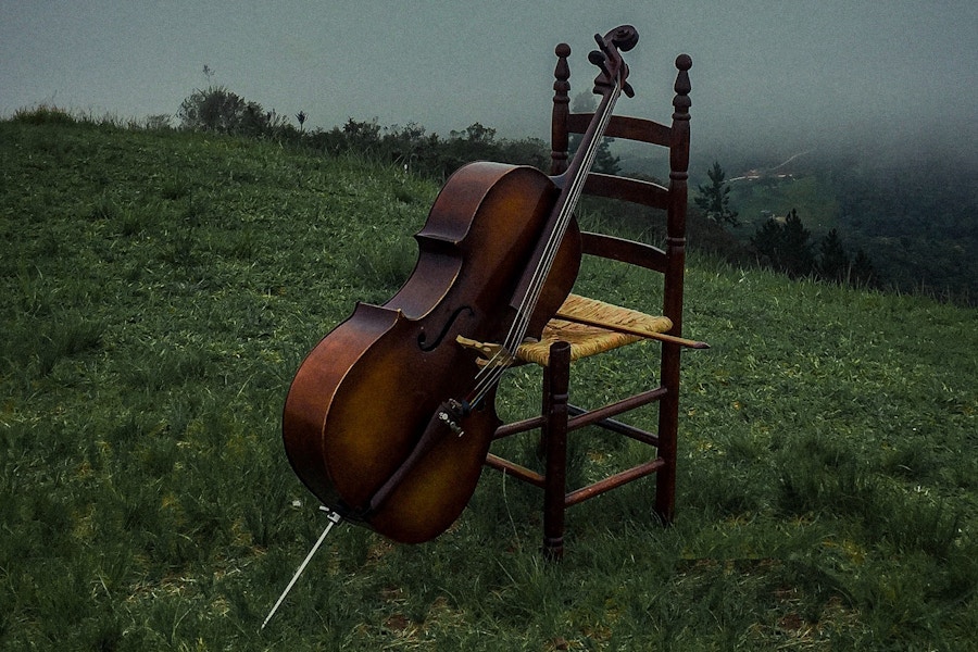Cello in fog