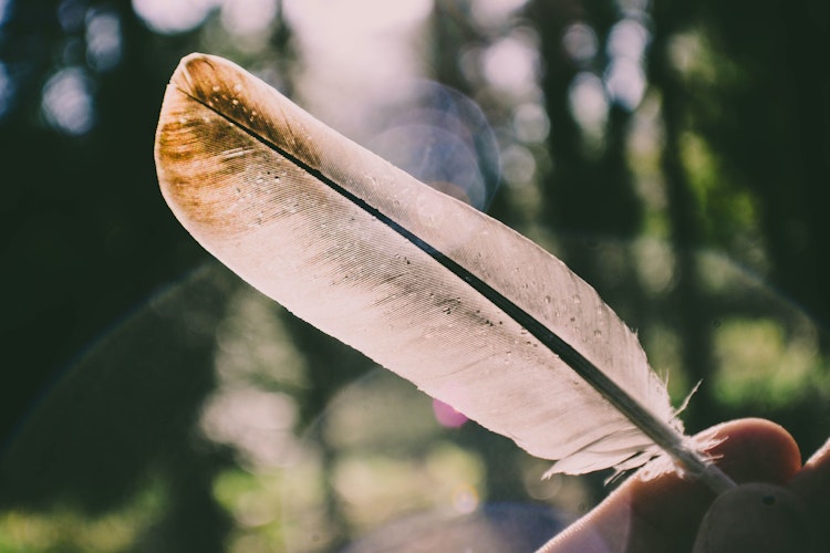 Clever visuals Gs1 EV3boog M unsplash