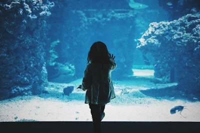 Girl Aquarium