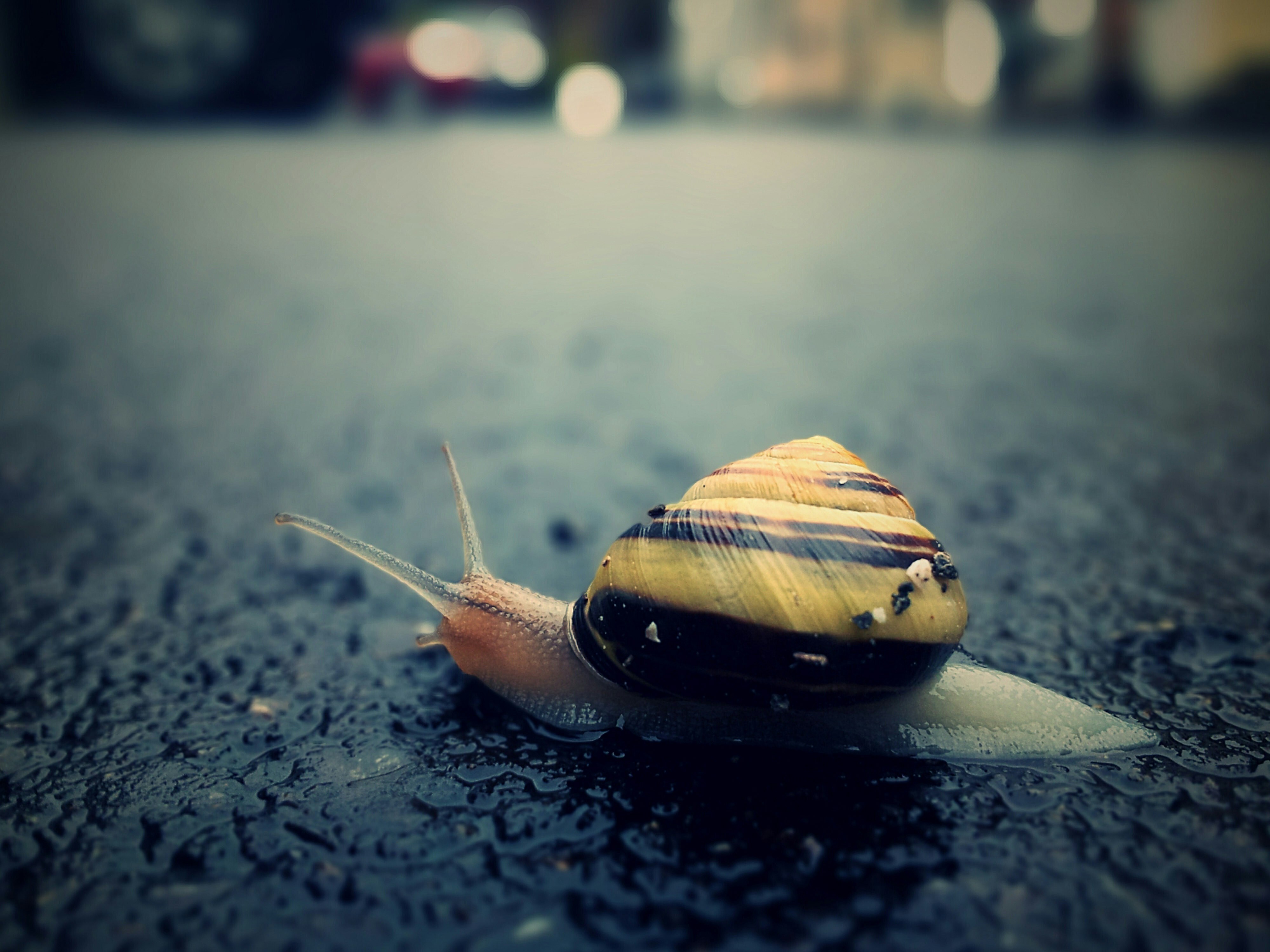 Isarisariver xlcj7 K Ls2 FQ unsplash