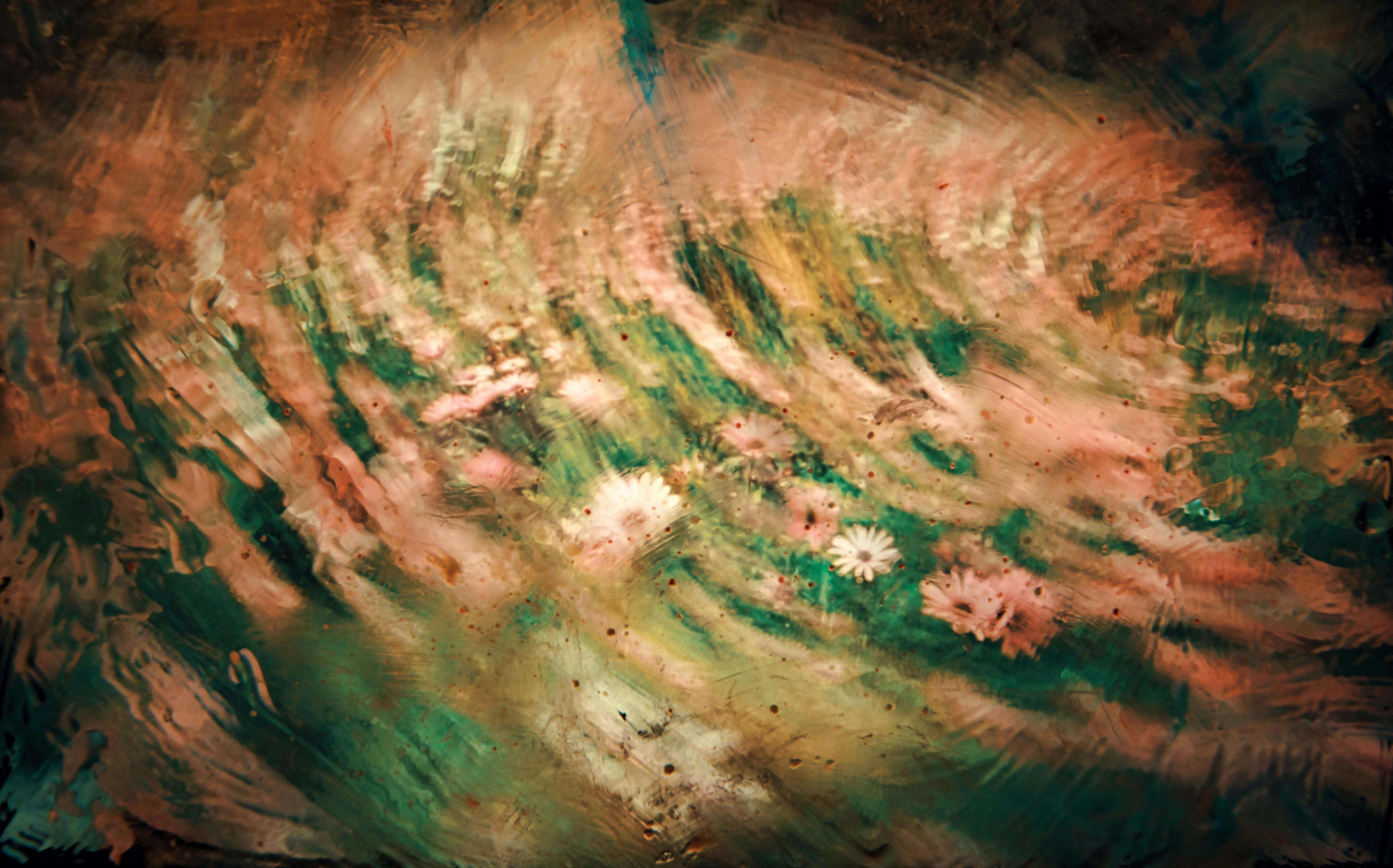 Jr korpa 4 2 OU Lpxd Mc unsplash