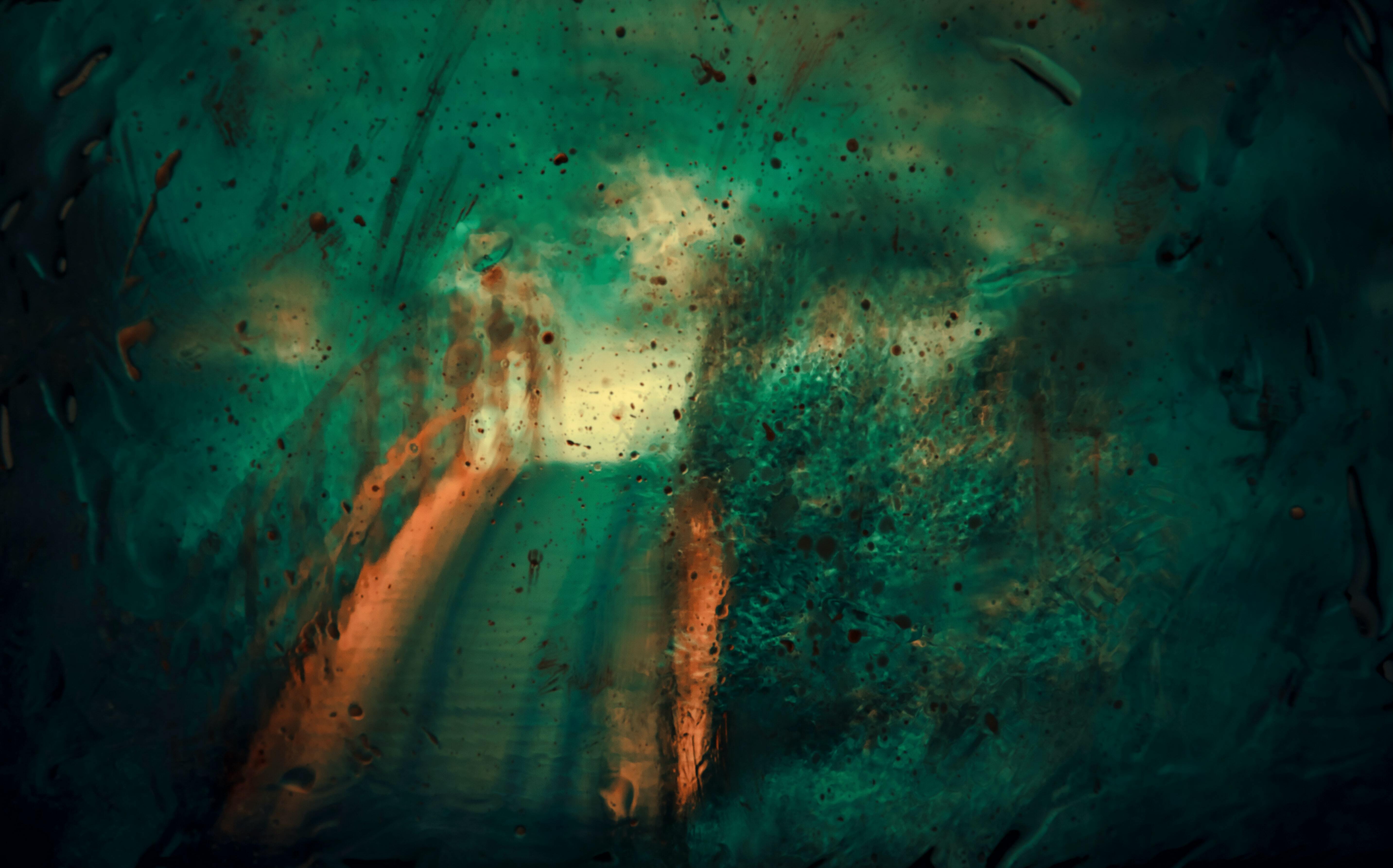 Jr korpa D85 I u A Ky A unsplash