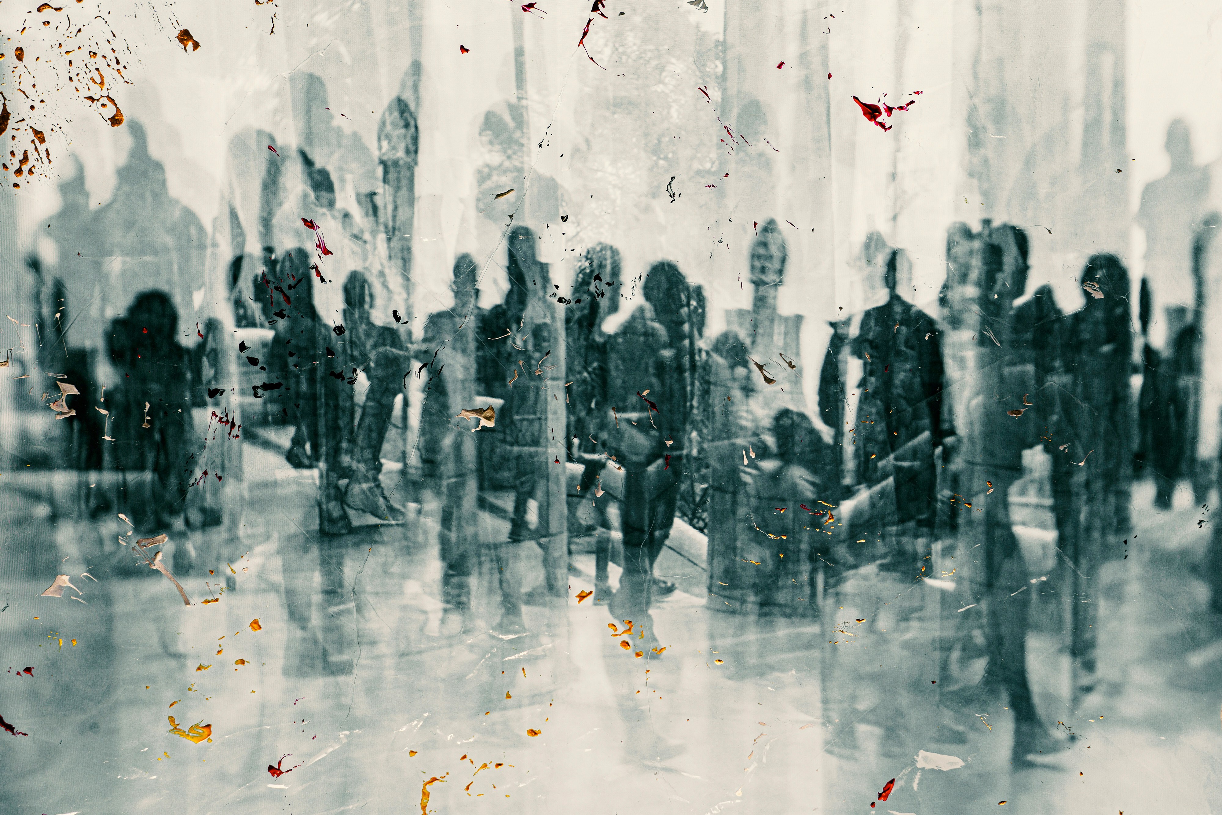 Jr korpa ZN Lo TRTE Ks unsplash