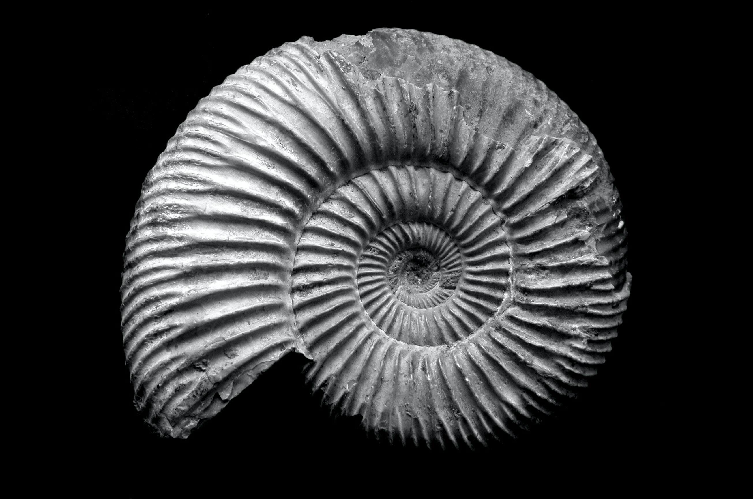 Matt artz w J Bdo EP Hm Cc unsplash