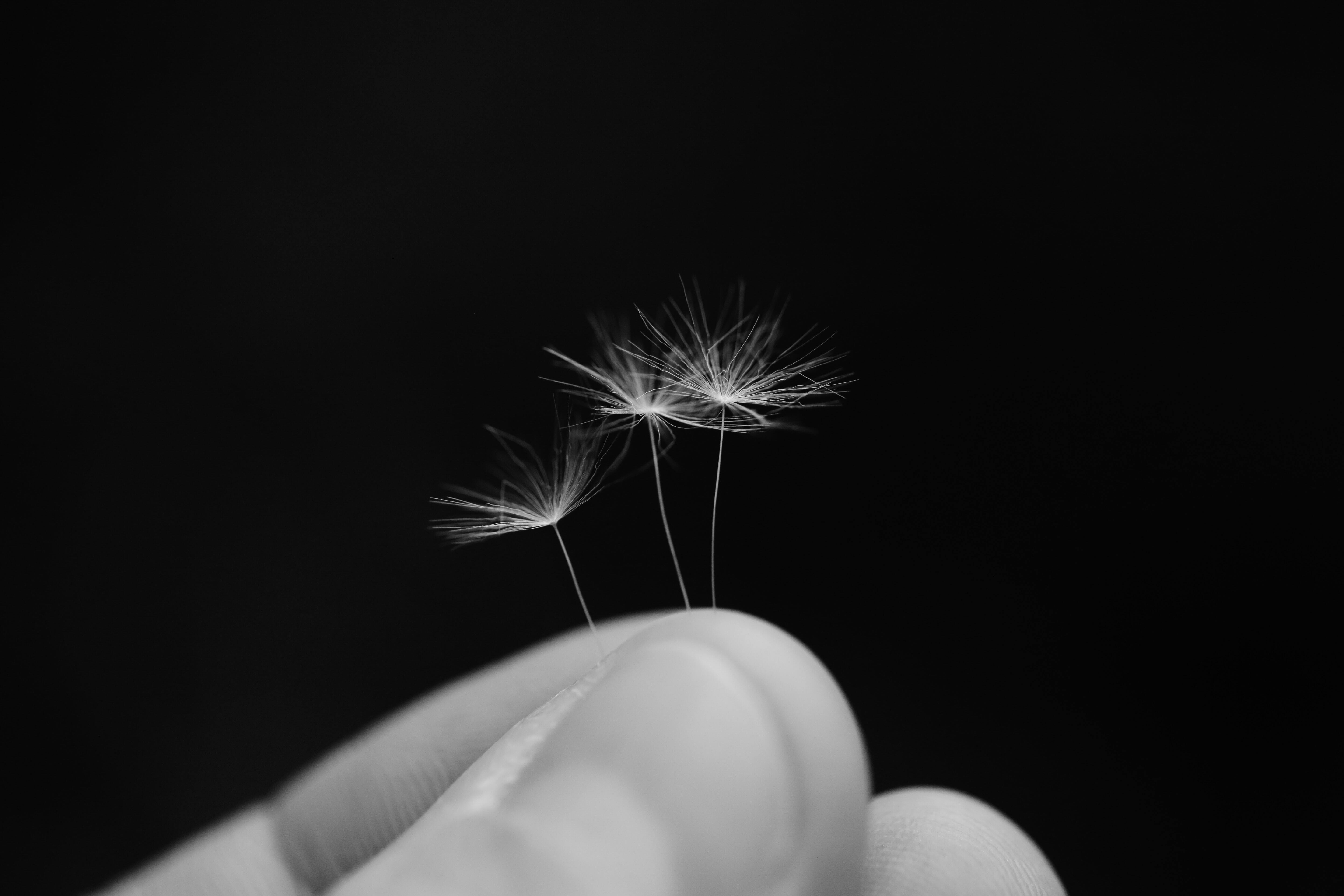 Nine koepfer o b Ep 35 x8 unsplash