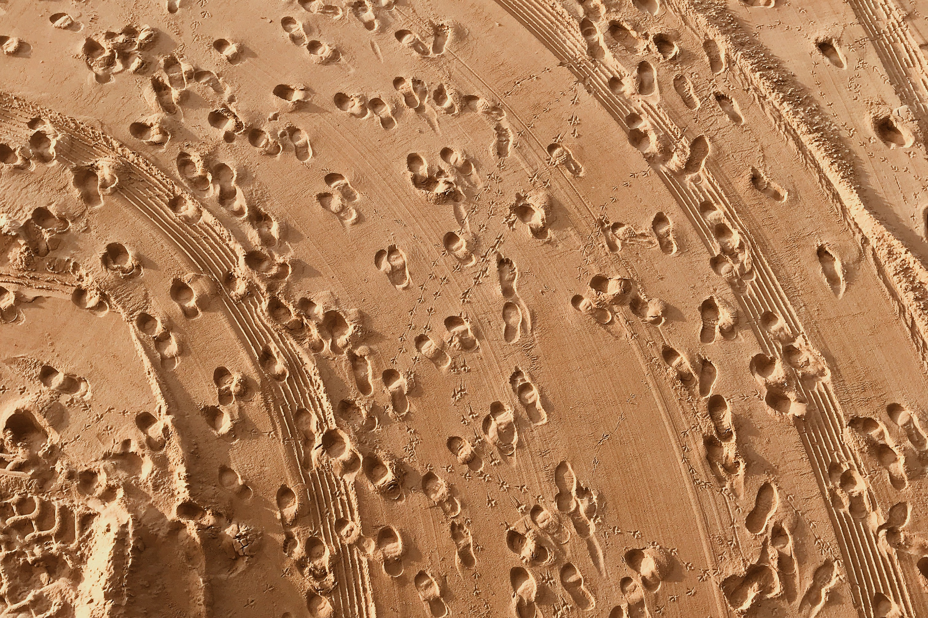 Pablo merchan montes o Hzns3 Npl90 unsplash cropped