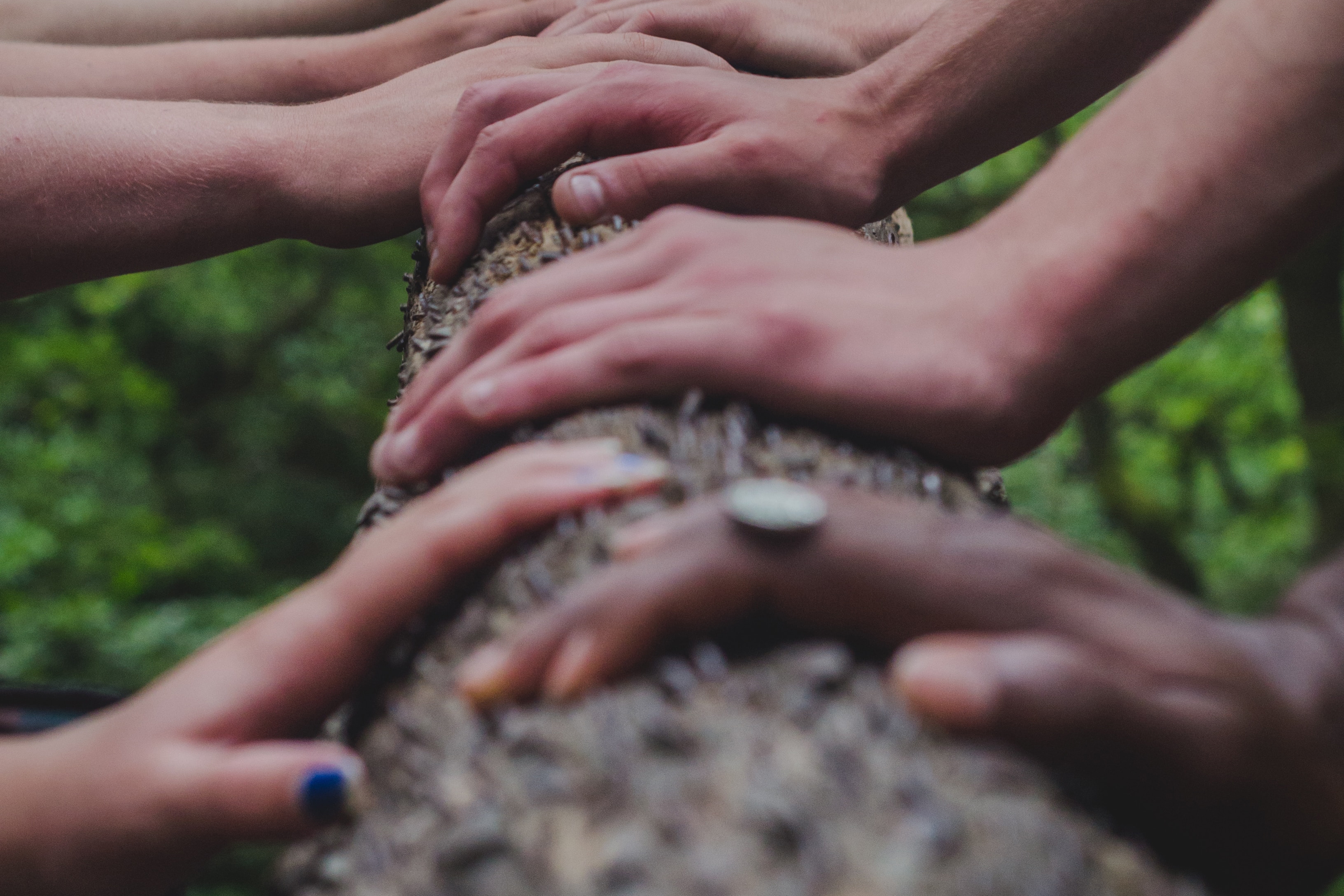 Shane Rounce Dnko Nxqti3C Unsplash