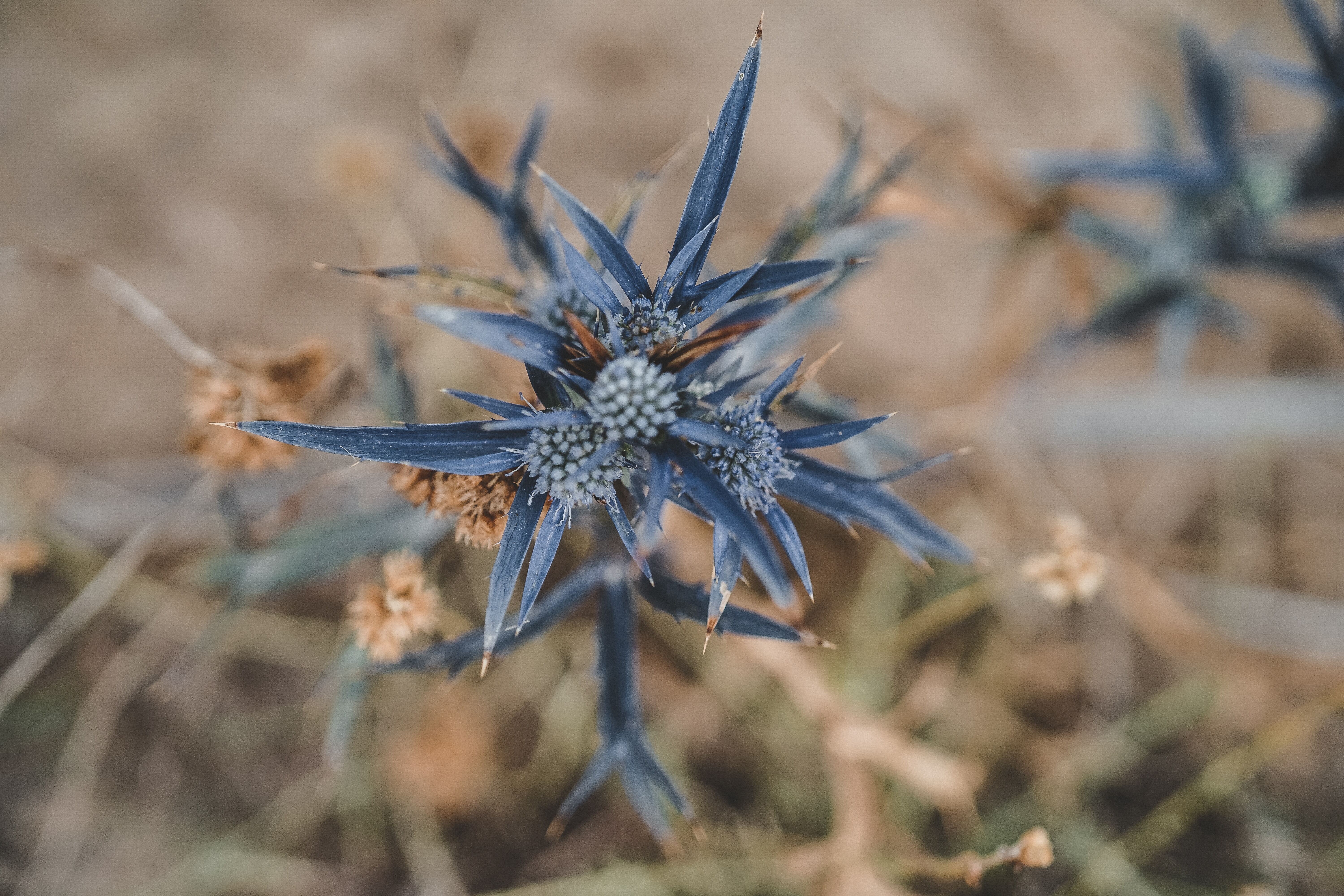 Zan Vi7rg Y Do KW8 unsplash