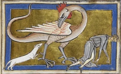 Cropped Medieval illustration of a basilisk from Basilisk and regulus from BL Royal 12 C XIX f 63 Public Domain via Creative Commons