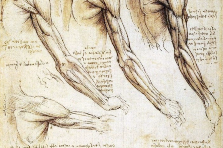 Davinci