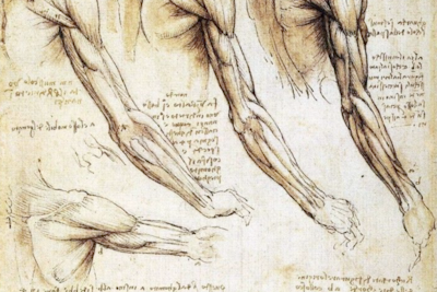 Davinci