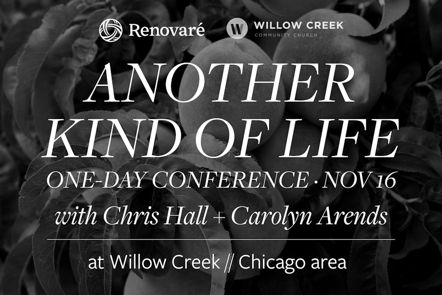 2019 11 Chicago Another Life Conf3 Willow Logo