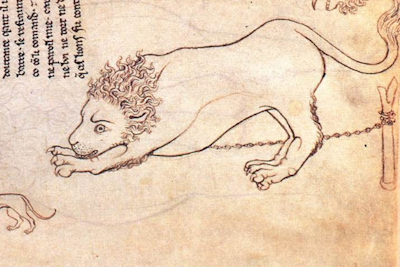 Lion 1