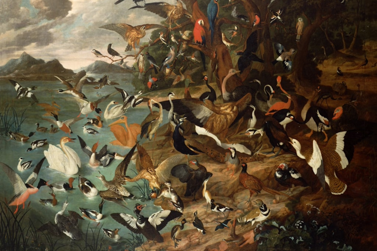 Parliament of birds