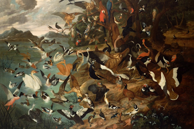 Parliament of birds
